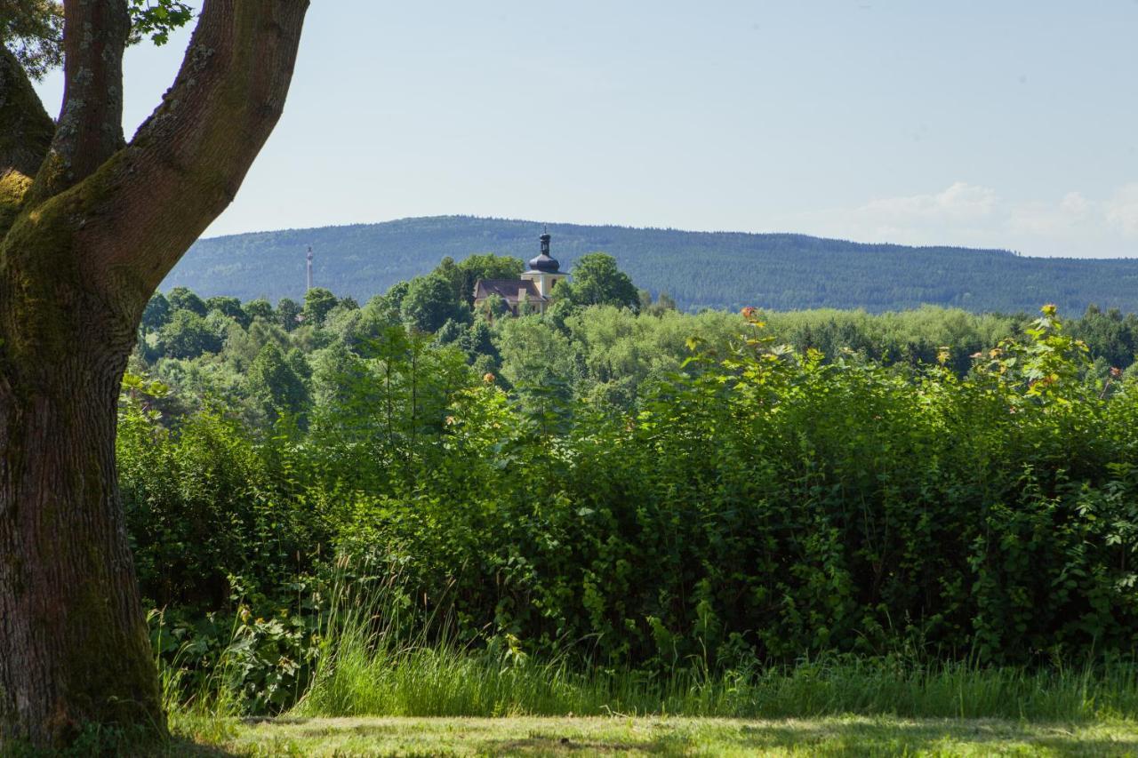 Pension Berten Strasice Strasice  エクステリア 写真