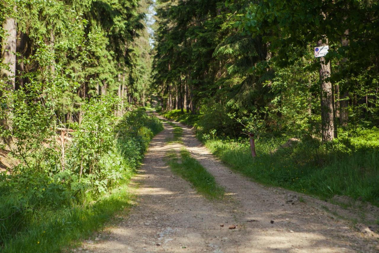 Pension Berten Strasice Strasice  エクステリア 写真